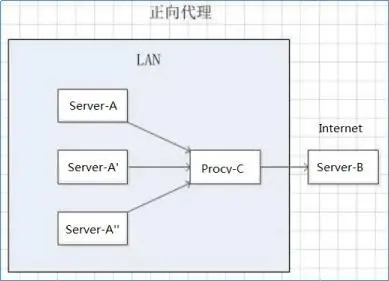 正向代理图例